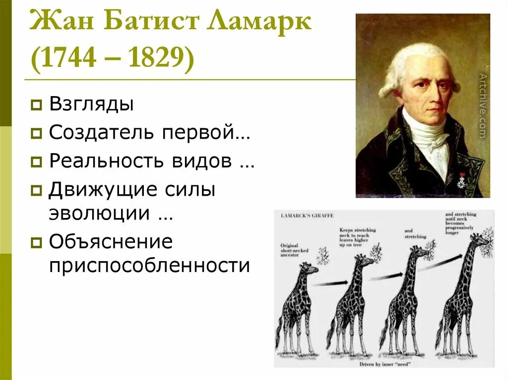 Как ламарк объяснял многообразие видов и приспособленность