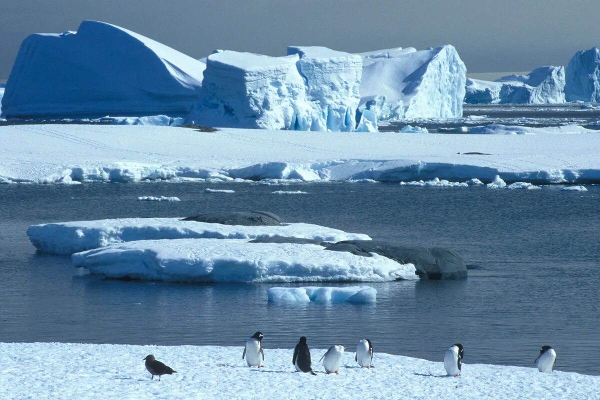 Антарктическая станция озеро Восток. Антарктида ледник Туэйтса. Ледник Туэйтса в Западной Антарктиде. Восток и Мирный Антарктида. Под ледовый