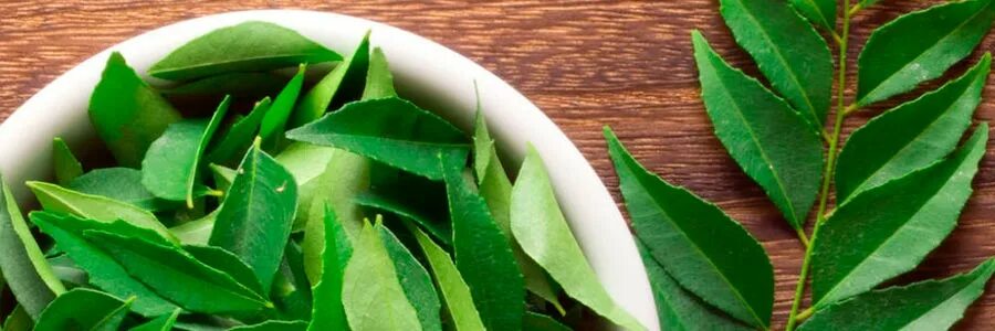 лавровый лист для роста волос. лаврушка для волос. лавровый лист для волос. лавровый лист для роста волос. лаврушка для волос.