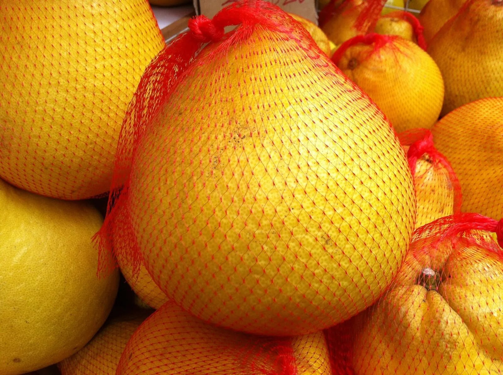 Pomelo Maxima