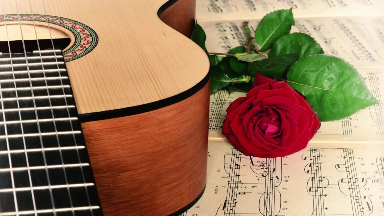Гитара с цветами. Под гитару цветы. Открытка гитара и цветы. Гитара. Электрогитара и роза.