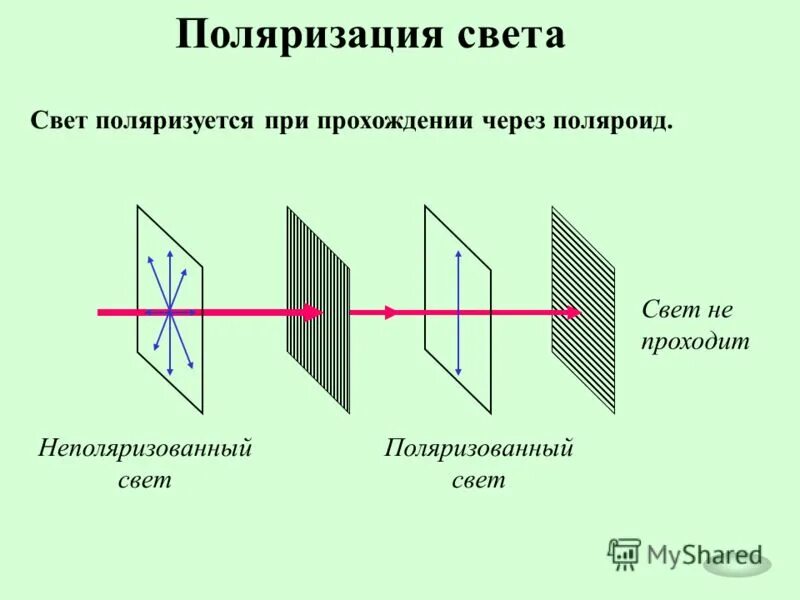 Поляризация представляет собой. Поляризация света поляризатор. поляризация света это в физике. поляризация света схема. схема поляризованного света.