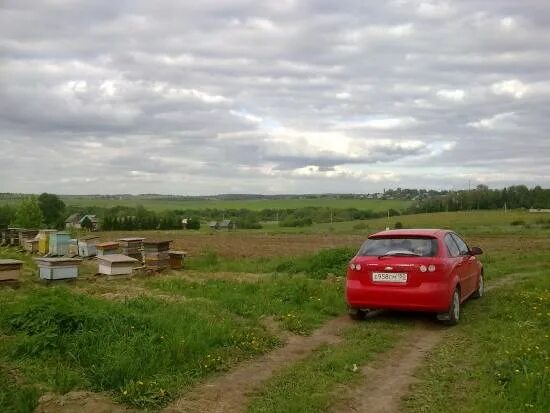 ярыгино. вазузское ярыгино. ярыгино. около хотьково поселение васильевское. ярыгино.