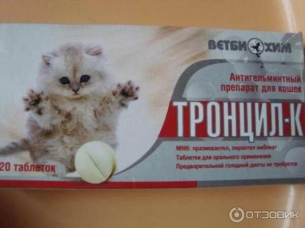 Коту обезболивающее что можно
