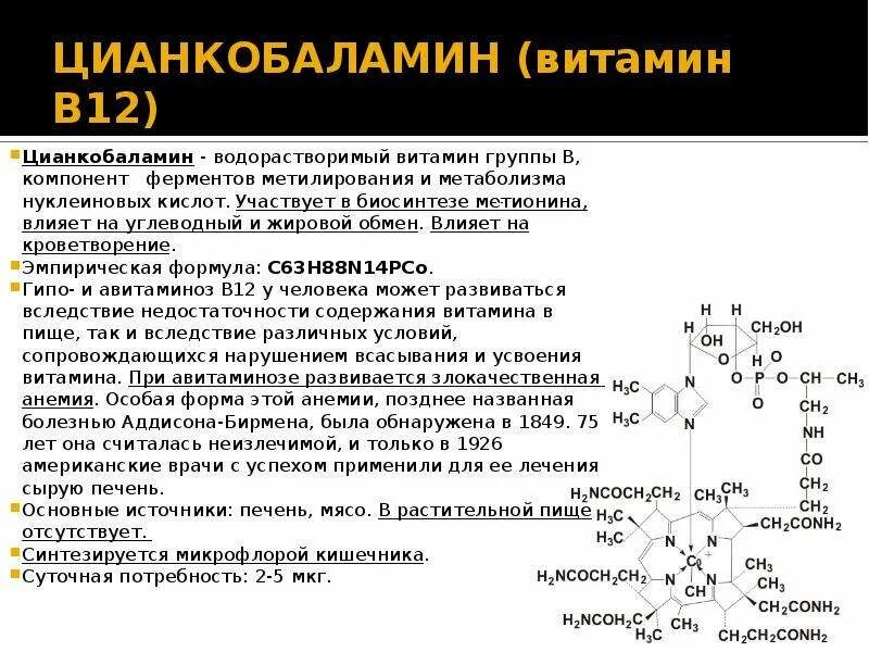 Синтез витамина б. Синтез витамина б12. Механизм действия витамина в12. Витамин б12 механизм действия. Витамин в12 участие в метаболизме.