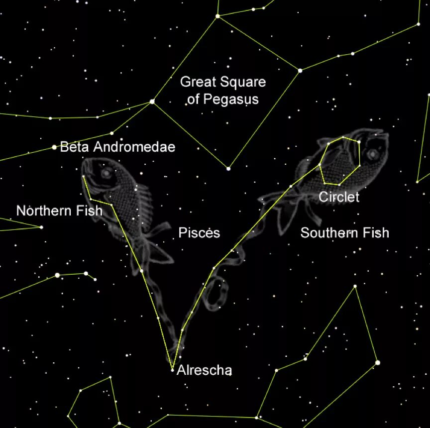 Созвездие рыбы звезды. Астеризмы созвездия рыбы. Созвездие рыбы с названиями звезд. Самая яркая звезда в созвездии рыбы. Рыбы Созвездие схема.