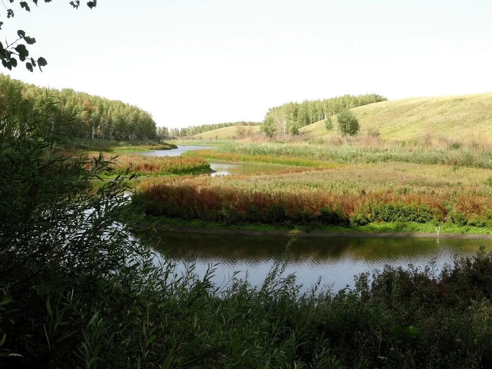 Амринская балка омская область. Амринская балка. Амринская балка омская. Амринская балка омская. Амринская балка омская.