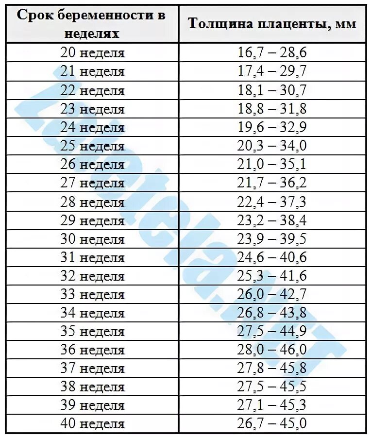 17 недель беременности вес. Таблица размеров плода по УЗИ 3 триместра. Толщина плаценты по неделям беременности таблица норма по УЗИ. Толщина плаценты в 32 недели беременности норма таблица. Норма толщины плаценты в 30 недель.