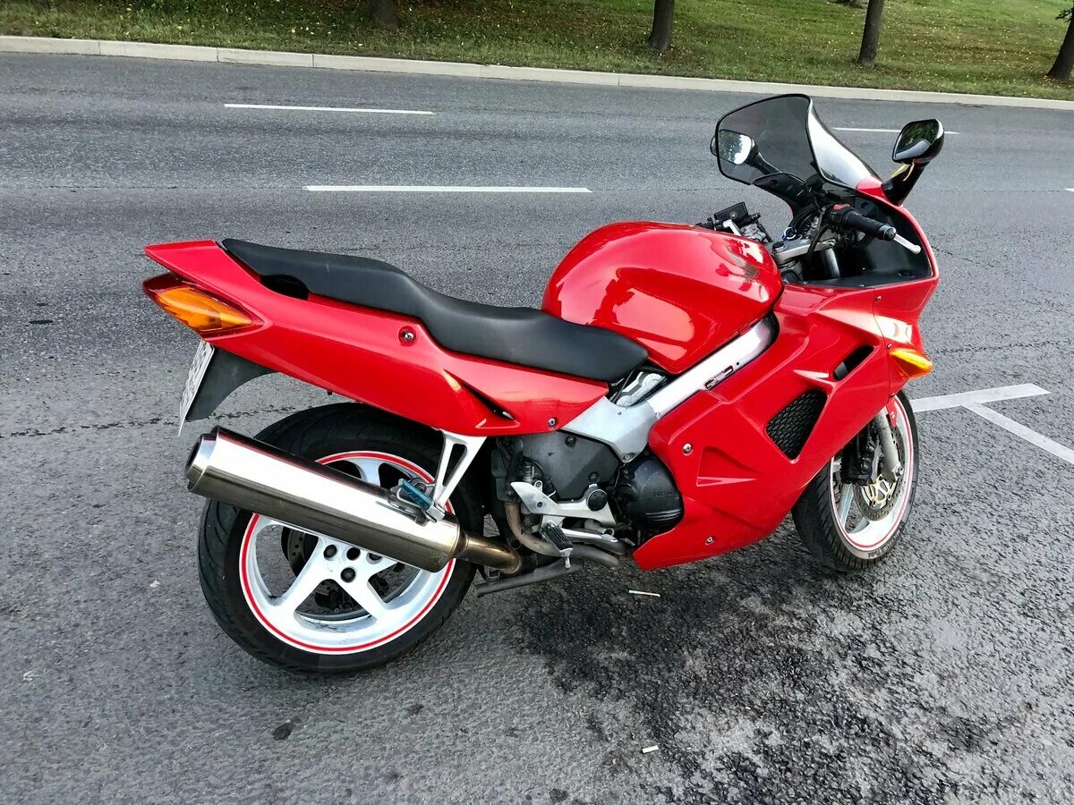 800 видов. лесные цветы забайкалья. приспособления голосеменных растений. животные коллаж. значение иглокожих в природе и в жизни человека.