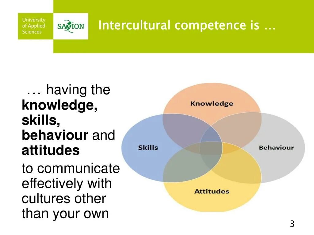 Different abilities. Штеусгдегкфдсщьзуеутсу. Elements of Intercultural competence. Intercultural communicative competence. Byram Intercultural competence.