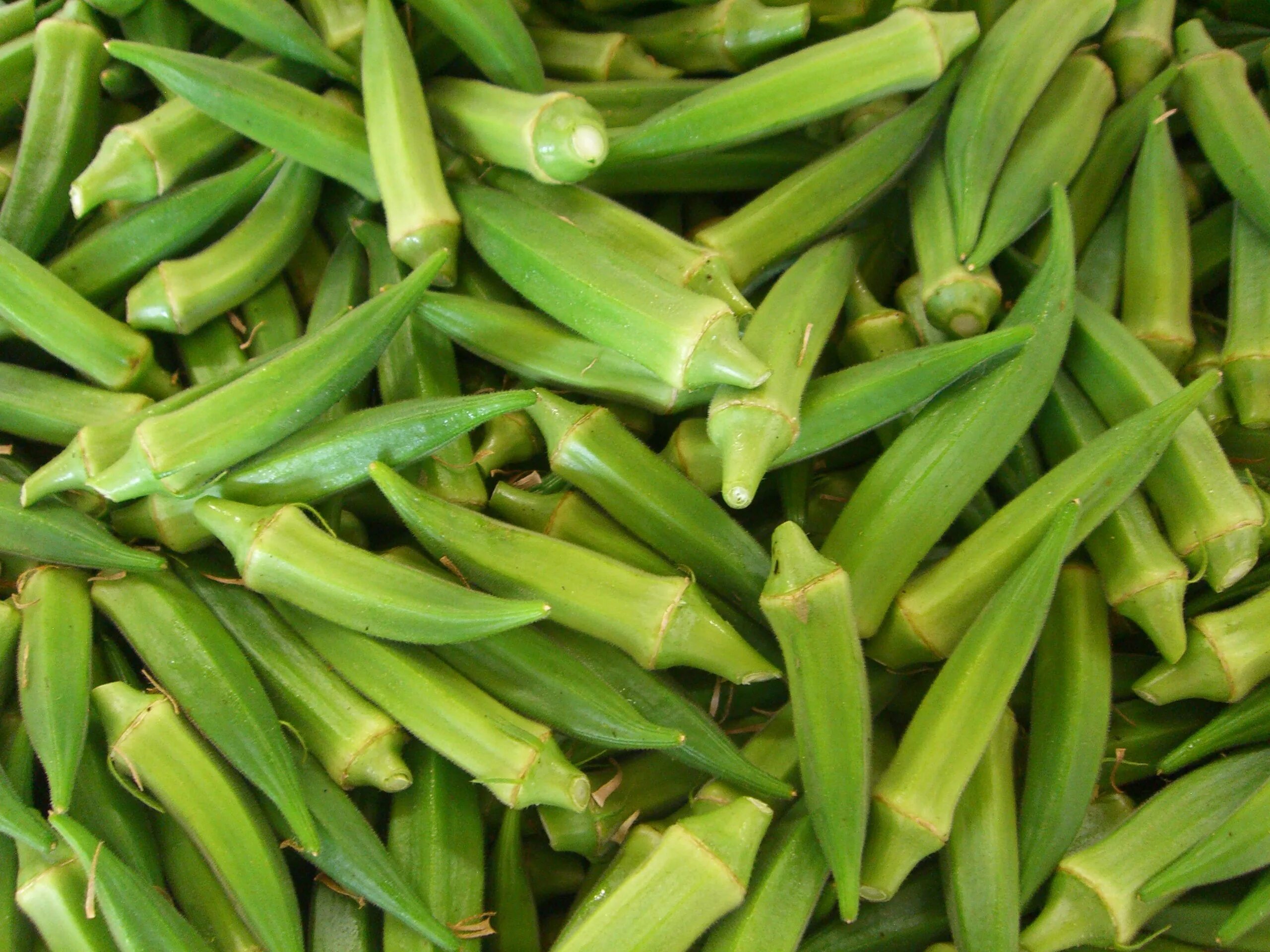 Бамия. Lady's finger. Lady fingers vegetable. Леди фингер. Бамия окра.