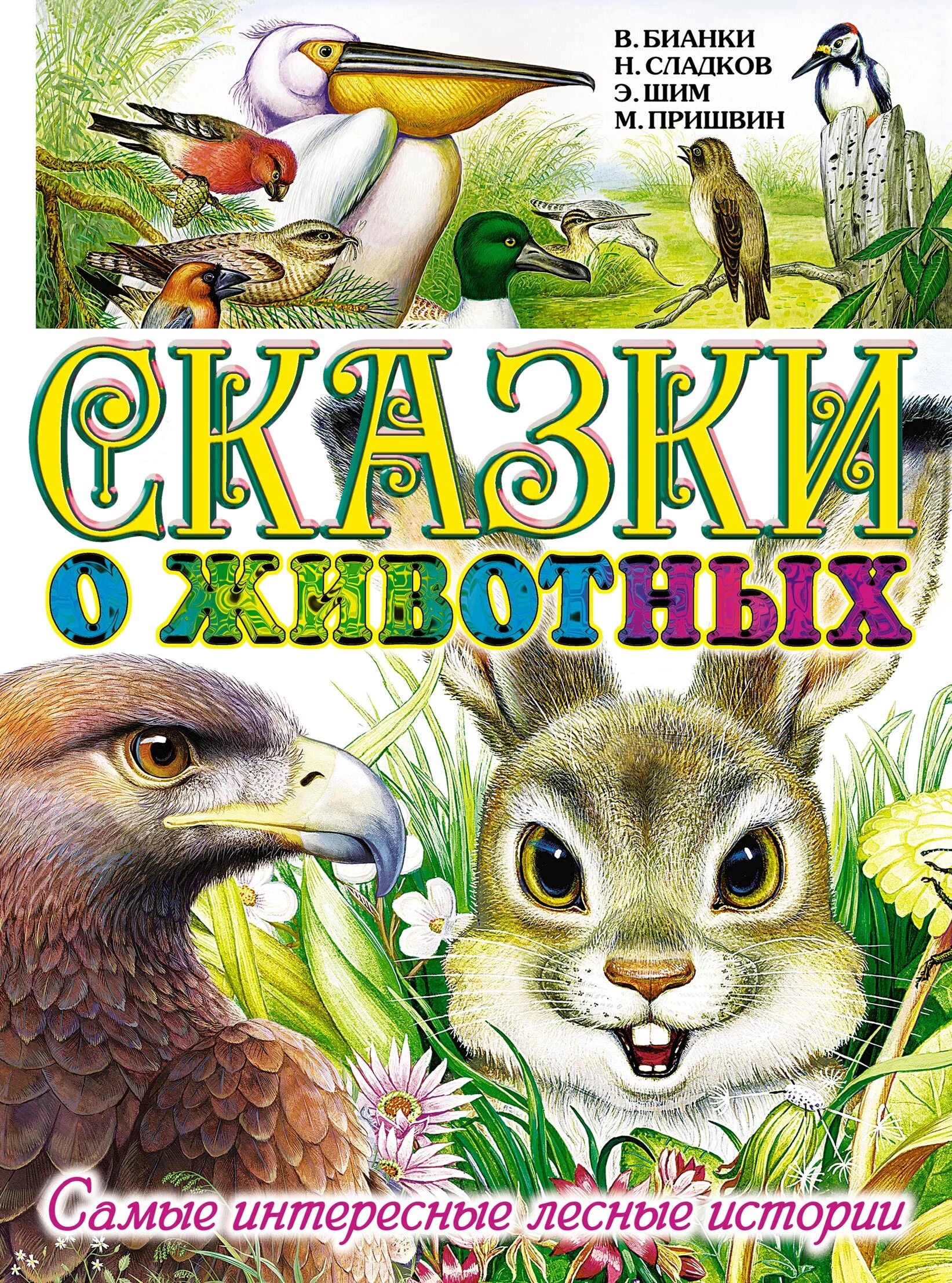 Книга лесные рассказы. Сказки о животных. Рассказы и сказки о животных. Сказки о животных книга. Книги Бианки о животных.