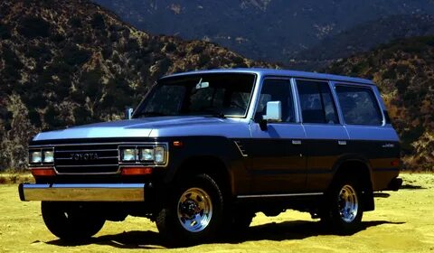 Cruiser 60