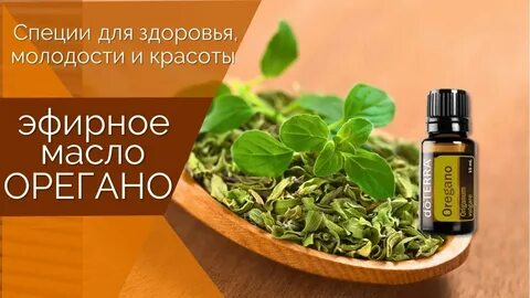 Майоран дотерра