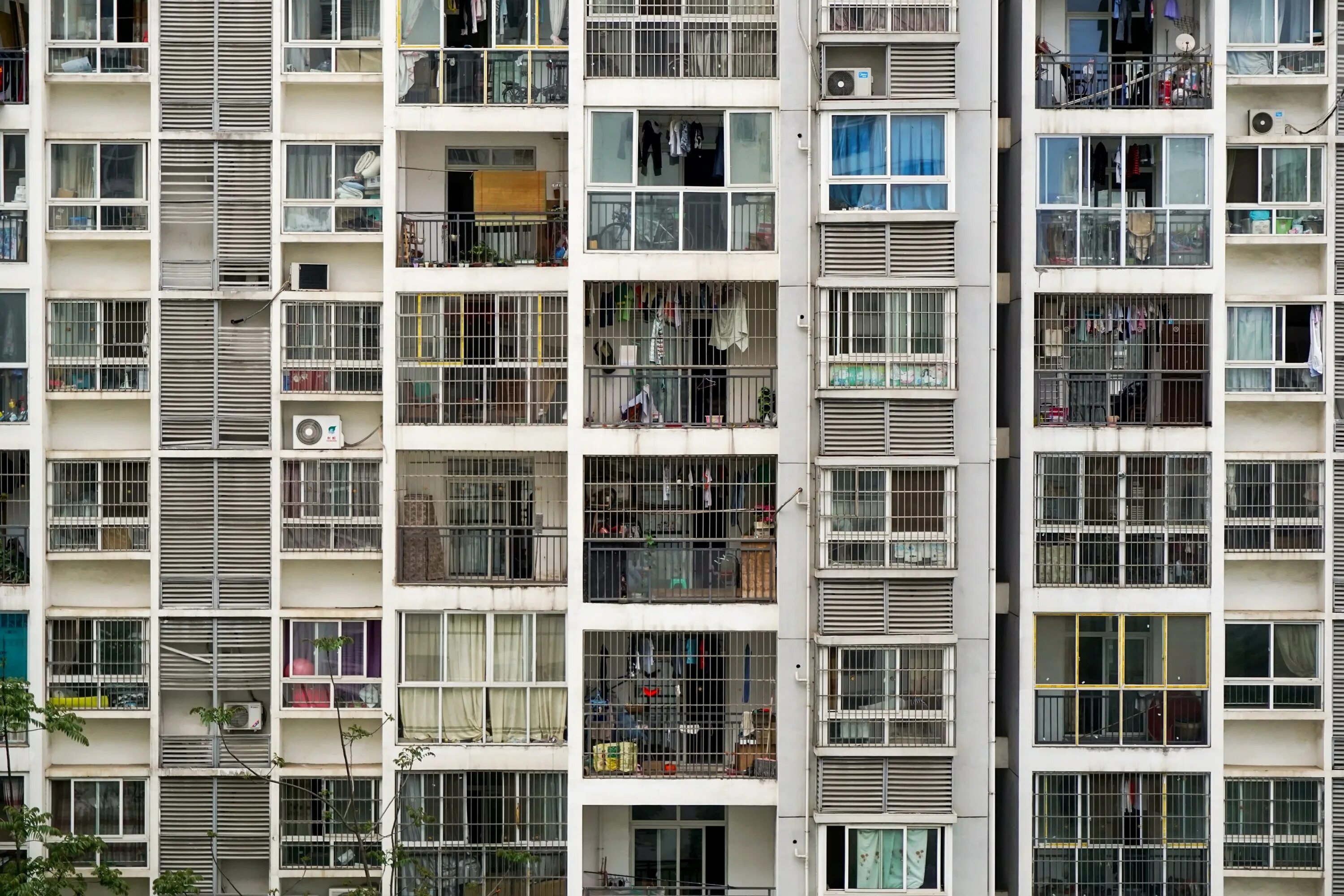 Build window