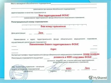 Как узнать территориальный орган фонда социального