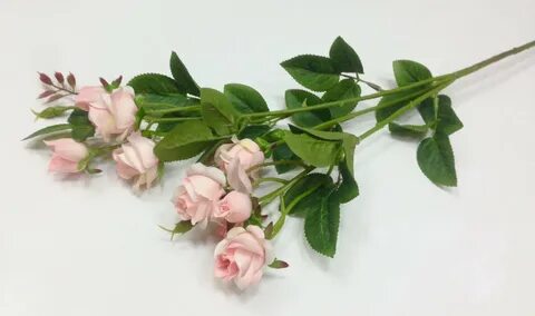 Как называется розы на ветке