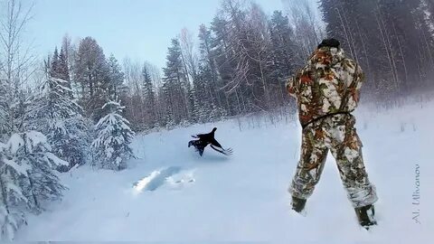 Охотясь зимой