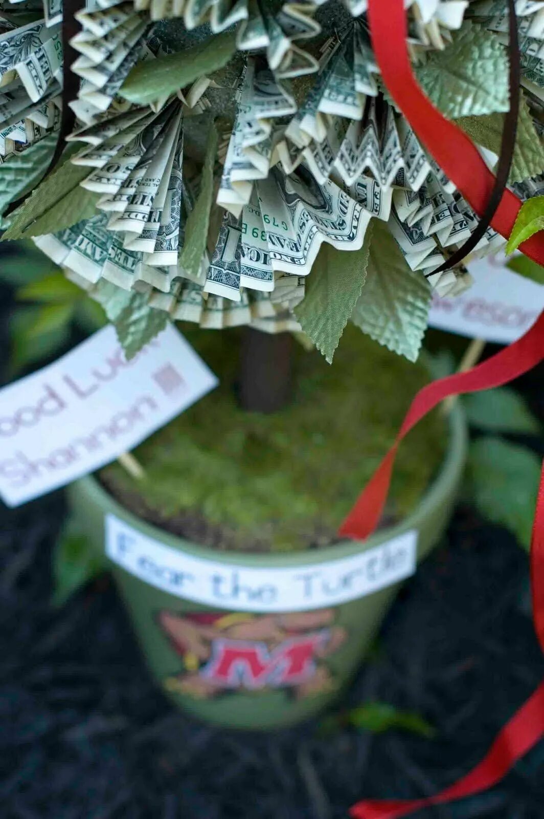 Дерево из денег. Цветочное дерево из денег. Дерево из денег в подарок. Поделки из денежных купюр. Дерево из купюр