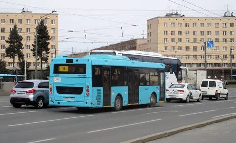 Автобус 60 спб