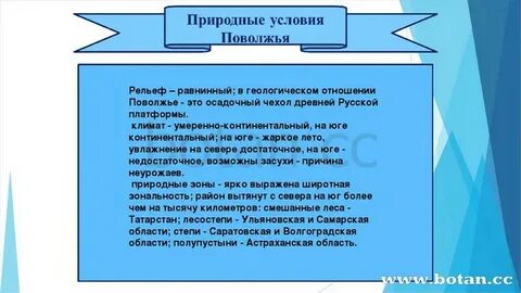 Природные условия поволжья