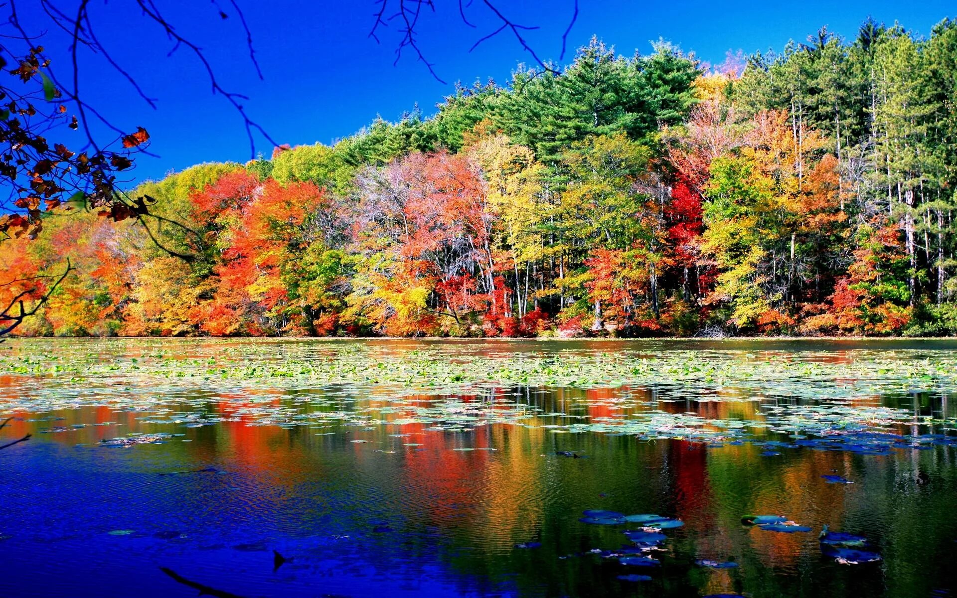 Красивая осень. Природа осень. Красота осени. Природа осенью.