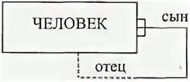 Отец является примером. Связь «отец-сын» является примером связи:. рекурсивная связь. рекурсивная связь базы данных. рекурсивные связи - это связи между.