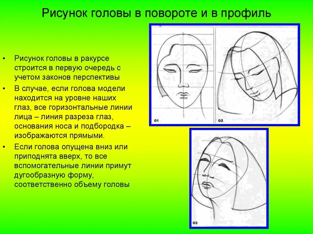 Изображение головы в пространстве изо 6. Пропорции лица для рисования. рисование головы человека в пространстве. пропорции головы человека рисунок. изображение головы в пространстве.