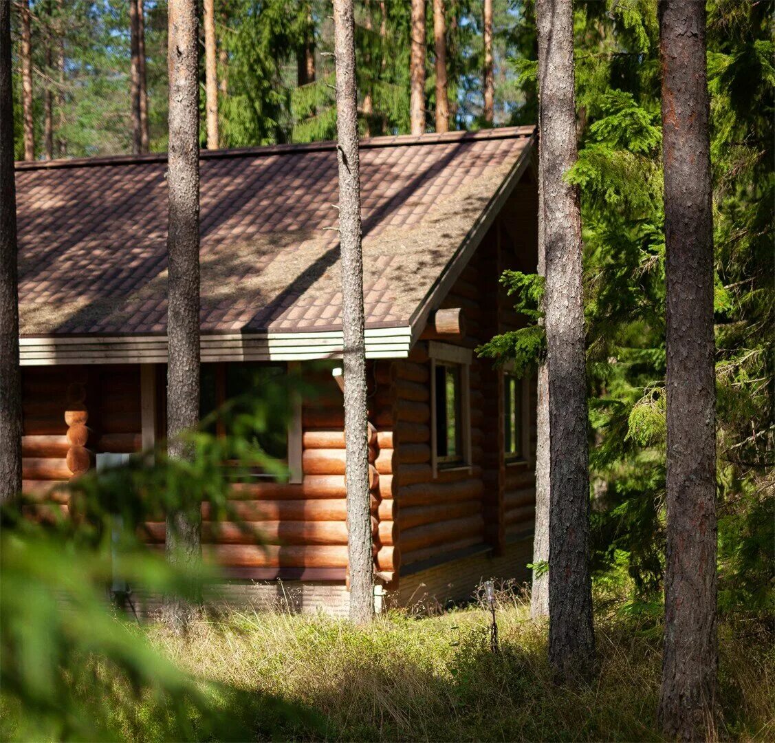 эко отдых спб. деревня силино эко вилладж. эко отдых спб. смолькино эко вилладж. эко вилладж ленинградская область.