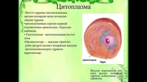 Биология казакша