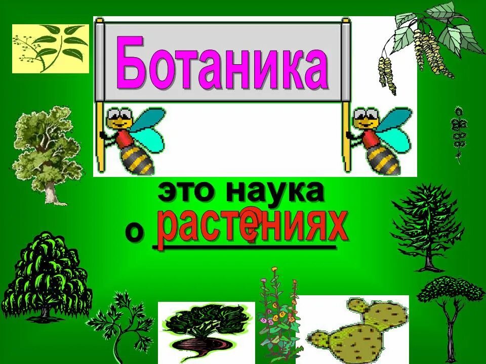 Ботаника для дошкольников. Ботаника это наука. Ботаника наука о растениях. Ботанические науки о растениях. Ботаника хочет