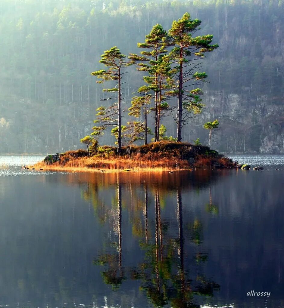 Остров хвойный. Озеро Сосновое Хакасия. Озеро сосны. Островок на озере. Красоты России.
