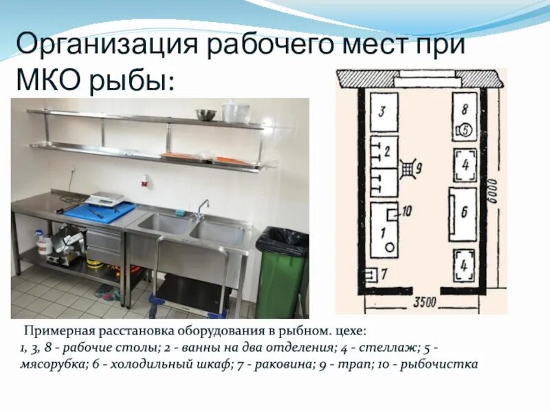 Оборудование рыбного цеха. Организация рабочего места по обработке рыбы. Организация рабочего места в Рыбном цехе. Оборудование и инвентарь для обработки рыбы. Организация обработки рыбы