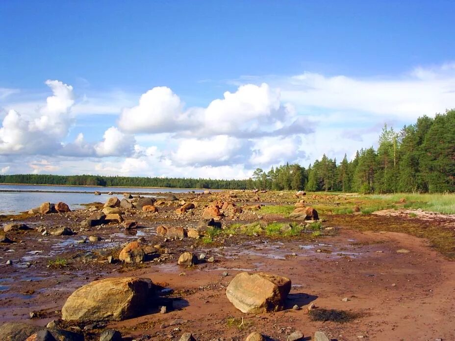 Кереть белое море. Остров кереть белое море. поморье белое море. белое море устье.