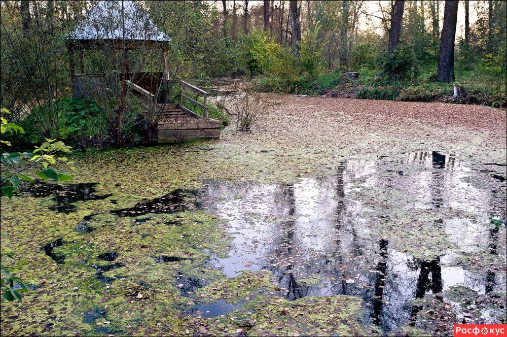 заброшенный дом у озера. заброшенные пруд. пруд земснаряд куровское. безлюдные водоемы в московской. заброшенный пруд.