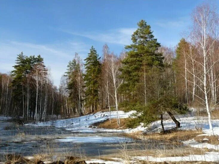 Первый месяц весны. Весенние месяцы. Март презентация. Весенние месяцы для детей. Полный месяц март