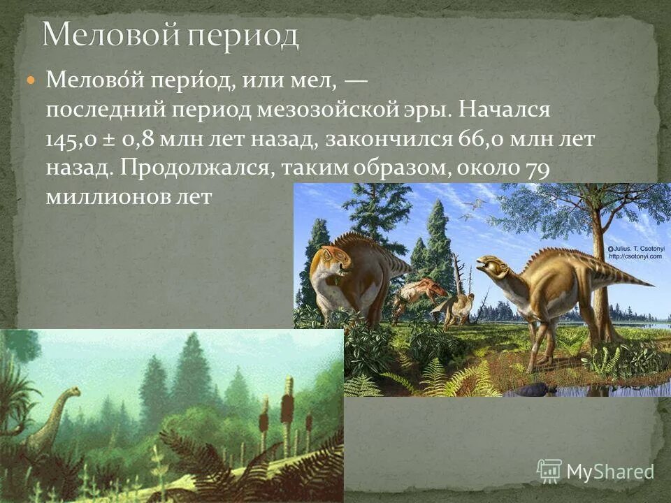 меловой период мезозойской эры. мезозойская эра меловой животные. мелкий период. мезозой меловой климат. мезозойская эра юрский период растения.