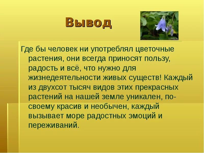 Вывод про растения. Вывод цветы в жизни человека. Заключение на тему растения. Роль растений в жизни человека.