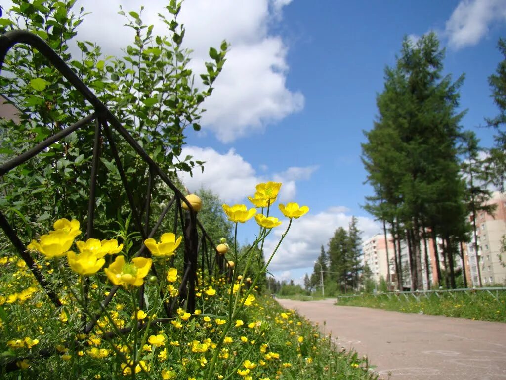 нерюнгри. сколько лета в нерюнгри. россия, республика саха (якутия), нерюнгри. весна в нерюнгри. сколько лета в нерюнгри.