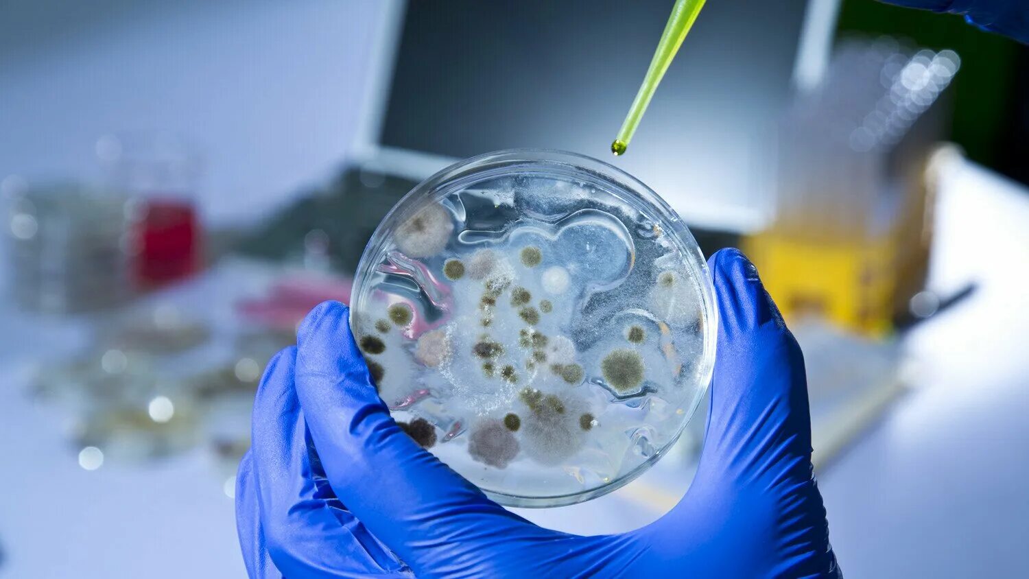 Бактерии в питьевой воде. Биотехнология чашки Петри с микроорганизмами. Биотехнология микроорганизмов. Микроорганизмы в пробирках. Микробная биотехнология.
