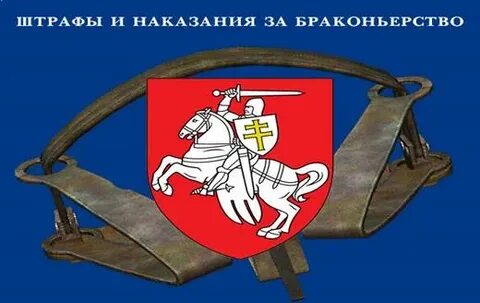 Ответственность за незаконный лов