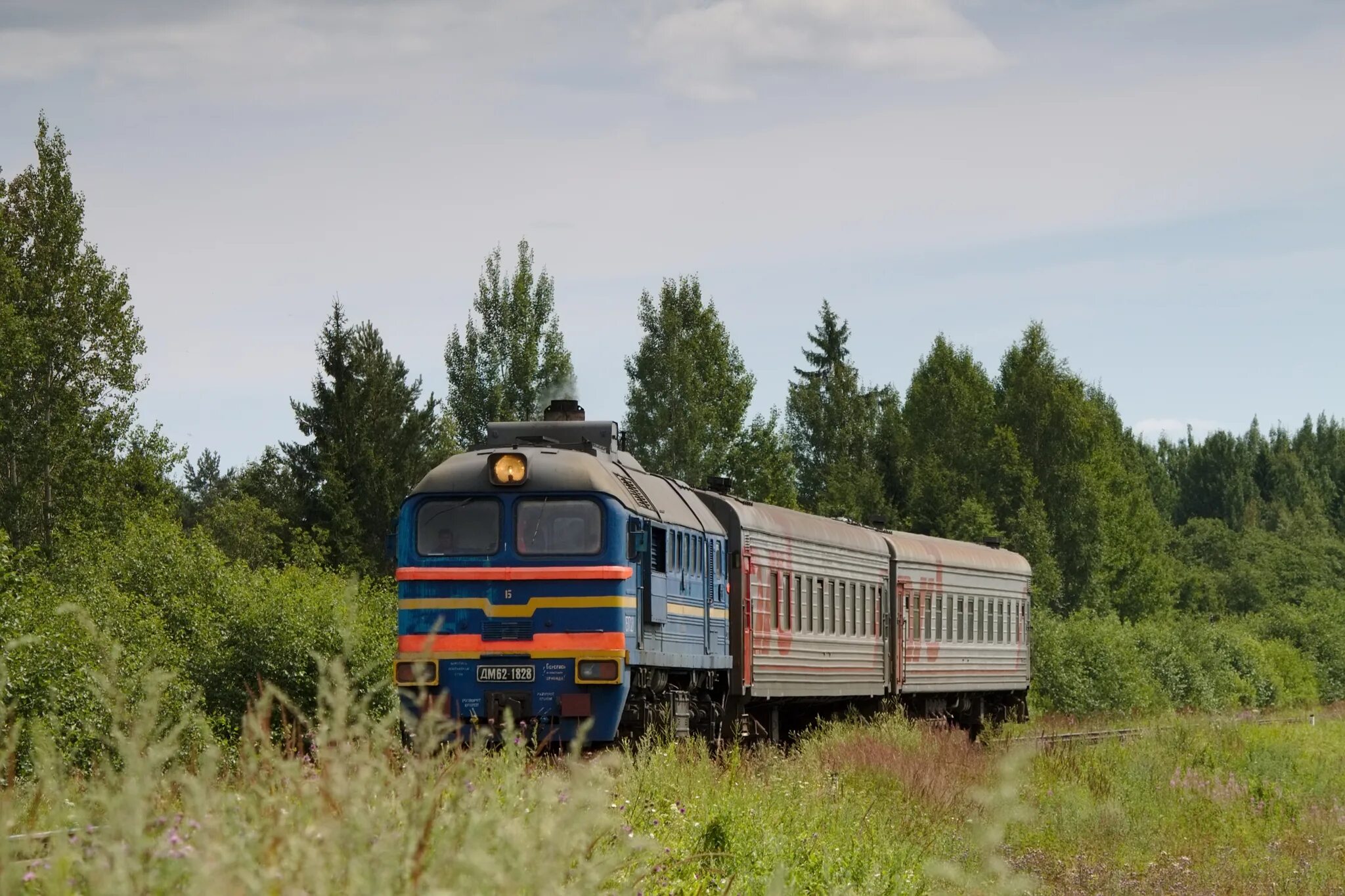 Поезд хвойная