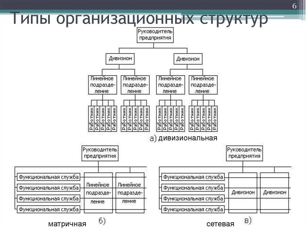 Организация ее виды структура