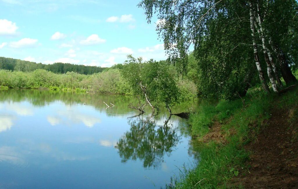 Гляжу в озера синие. Синее озеро. Гляжу в озера синие в полях ромашки. Гляжу в озера синие картинки. Выйду на озеро в синюю