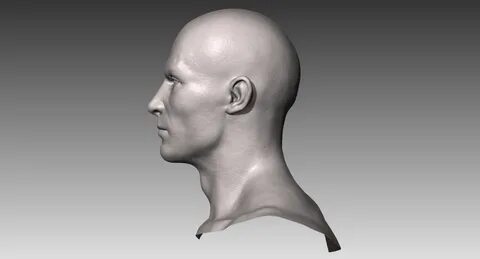 3D Head Models For Drawing - ArtStation - Realistic Female Head 3D.