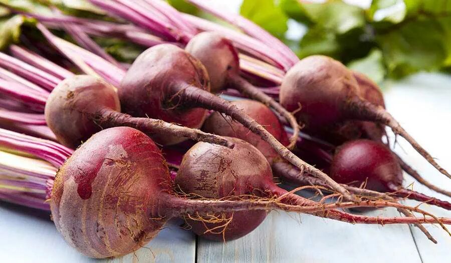 Морковь свекла редис. Батат корнеплод. Овощи корнеплоды. Красный корнеплод. Корнеплодные овощные культуры.