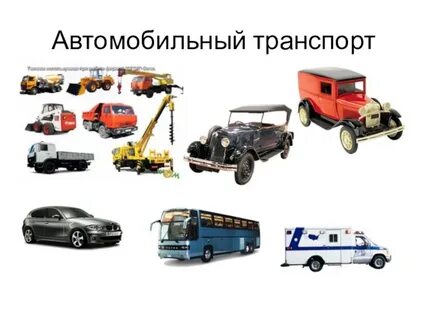 Вид транспортной машины
