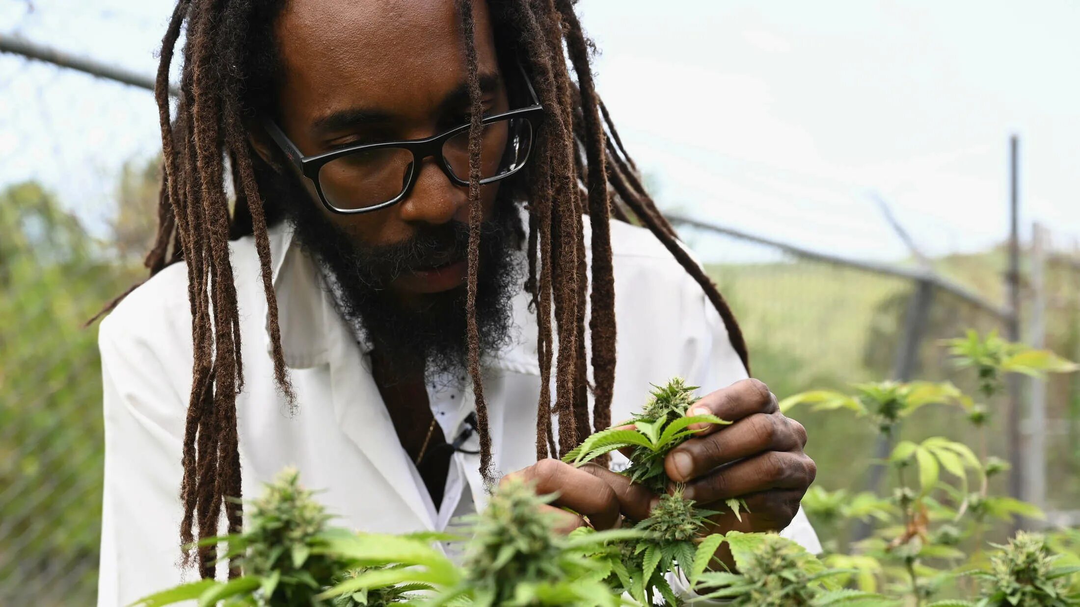 боб марли музыкант.