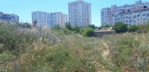 13 участок севастополь
