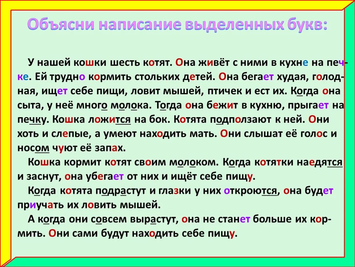 Не готов объяснение написания. Написание выделенных букв а. Изложение кошка и котята. Объясните написание выделенных букв. У нашей кошки 6 котят.